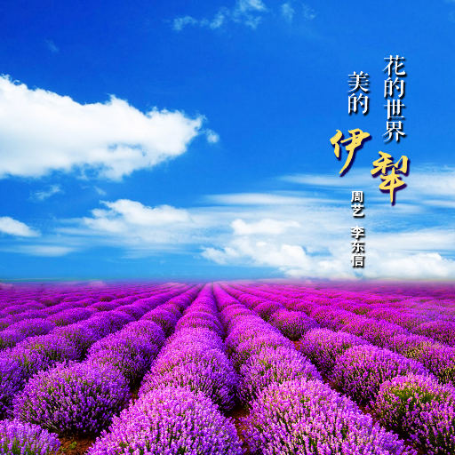 国产成人无码精品色欲天香
